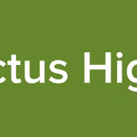 Conductus Highlights