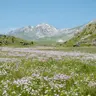 #117 Satsang sa SergiOM: Onkraj šuma uma