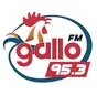 Gallo FM 95.3 - XHPEDJ