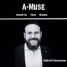 B.E.S.T. Series- Parshat Masei-2- Finale- Witnesses and The Finale of Sefer Bamidbar With Weddings !