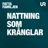 Så får du till nattningsrutinen