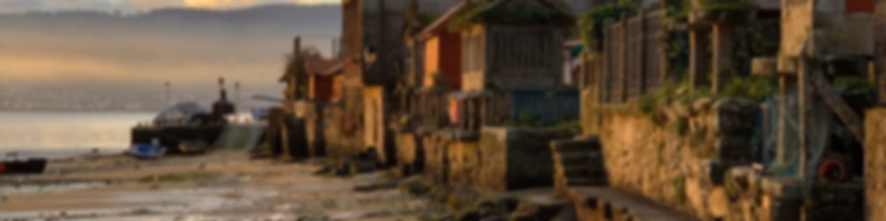 Os cantos do vagalume
