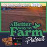 375: Are Amino Acids Worth The Hype