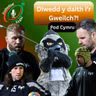 Diwedd y daith i’r Gweilch?!