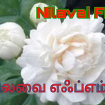 NilavaiFM