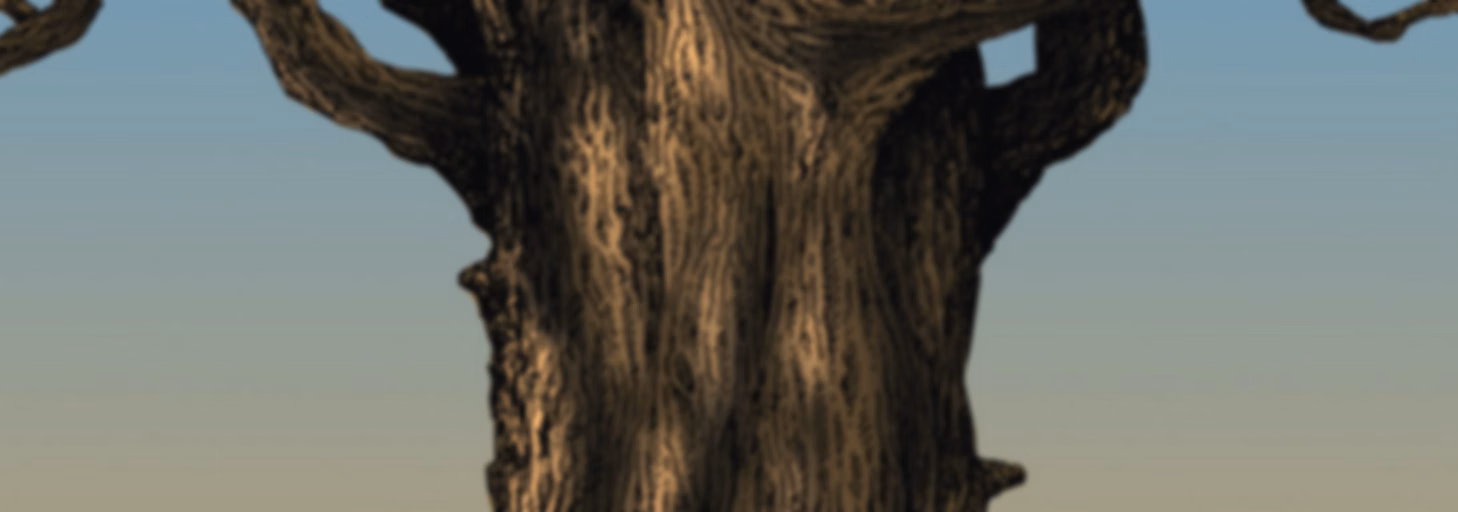 Protectors of the Wood Adventure Series