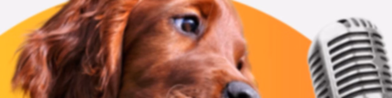 Pet Podcasts With Petwebly