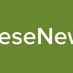 FreseNews