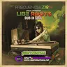 Special Broadcast - Libe Roots de Dub in Soul