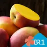 Genuss mit gutem Gefühl - Bio, fair, Schiff oder Flug: Welche Mango ist die beste?