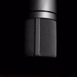VOCES QUE VIAJAN