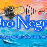 Oro Negro radio
