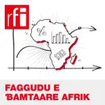 Faggudu e ɓamtaare Afrik