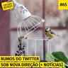 #65. Rumos do Twitter sob nova direção [+ NOTÍCIAS]