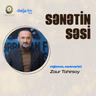 Rejissor Zaur Tahirsoy yaradıcılığı və kino baxışı I Sənətin səsi