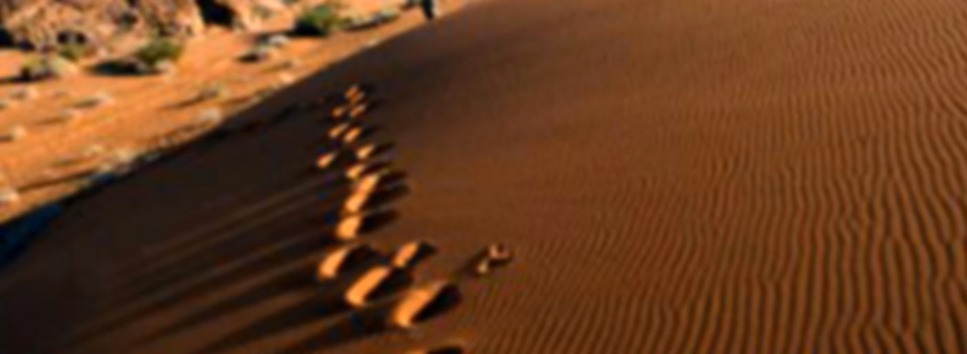Becoming a Tracker of God's Presence