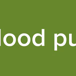 Blood pun