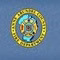 Anne Arundel County Fire and EMS