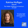 The Hidden Weakness in America's AI Lead (#315)