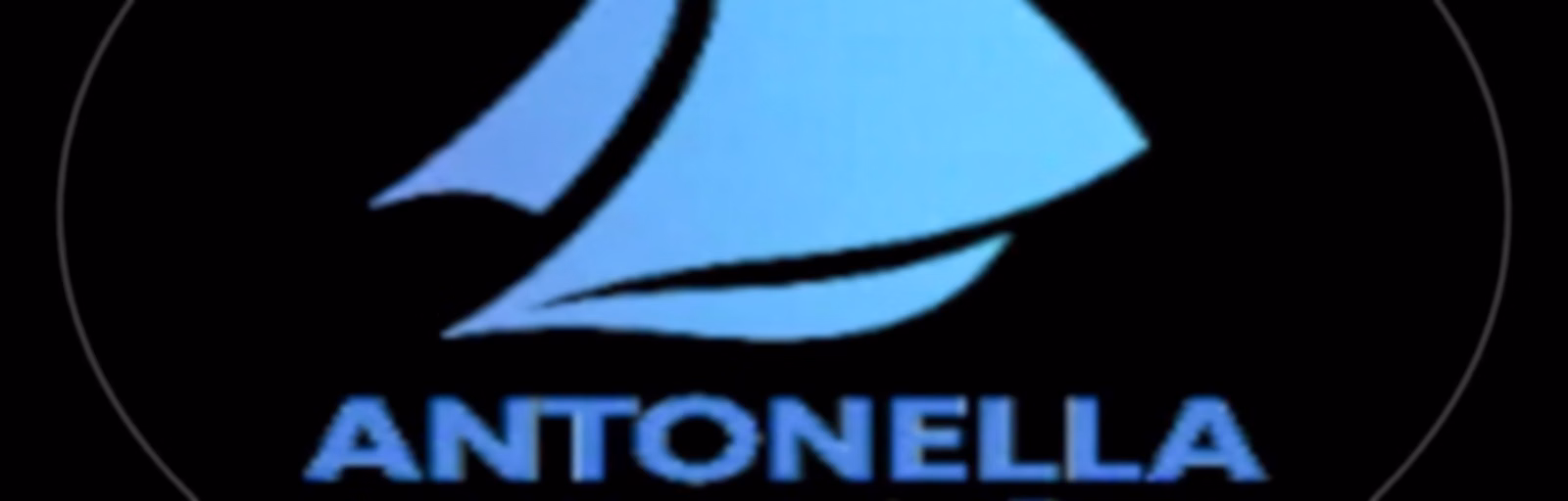 Il punto di " Antonella Nees"