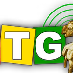 RADIO GUINEE RTG live