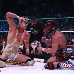 WREDS #882 – Masters of the Universe