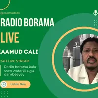 Radio Borama