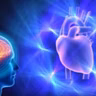 Integración del Triple Corazón