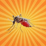 Le moustique se souvient de l'odeur des insecticides !