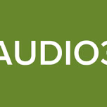 RAUDIO33
