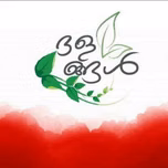 Dhalangal