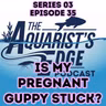 Why Won’t My Pregnant Guppy Give Birth?