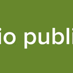 Radio publimar