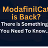Seized by the FBI and Now They're Back? The Truth About ModafinilCat