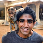 Organic Monkey