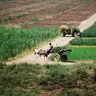 S7 Ep34: Why farmers struggle to adopt new agricultural technology