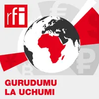 Gurudumu la Uchumi