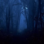 Hunting Grounds