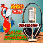 LA VOZ AMAZONICA ON LINE
