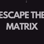 Matrix Flow FM