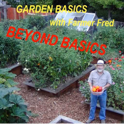Beyond the Garden Basics