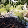 Ponte da Limeira