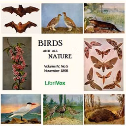 Birds and All Nature, Vol. IV, No 5, November 1898