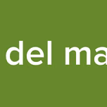 radio del maestro