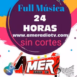 AMER RADIO TV ON LINE