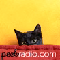 Peekradio