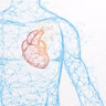 Living Proof: Building digital hearts