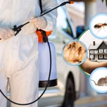 OC PEST CONTROL