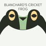 Blanchard's Cricket Frog | Week of September 28th