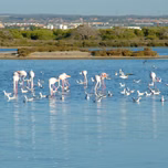 Las Salinas de San Pedro
